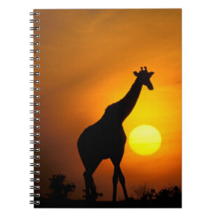 Africa, Kenya, Masai Mara. Giraffe (Giraffe Notebook