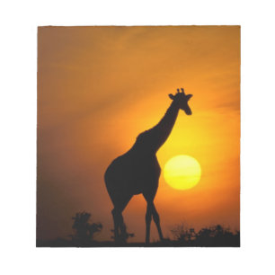 Africa, Kenya, Masai Mara. Giraffe (Giraffe Notepad