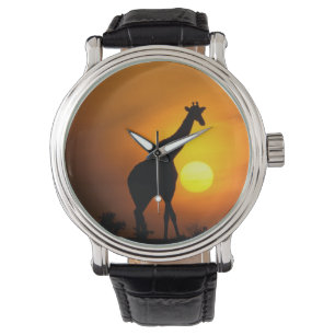 Africa, Kenya, Masai Mara. Giraffe (Giraffe Watch