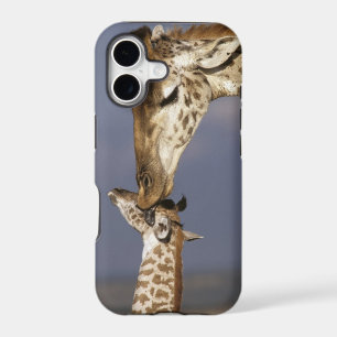 Africa, Kenya, Masai Mara. Giraffes (Giraffe
