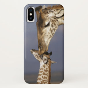 Africa, Kenya, Masai Mara. Giraffes (Giraffe iPhone X Case