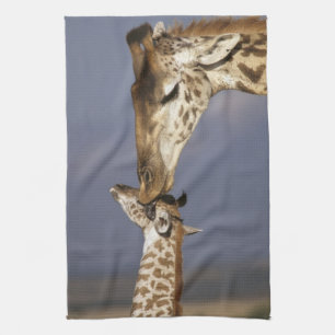 Africa, Kenya, Masai Mara. Giraffes (Giraffe Tea Towel
