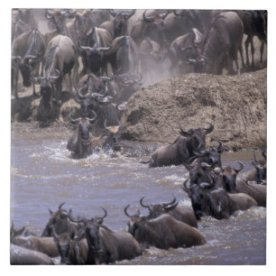 Africa, Kenya, Masai Mara National Park. Ceramic Tile