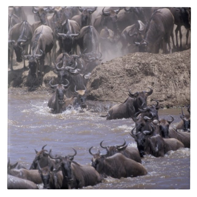 Africa, Kenya, Masai Mara National Park. Ceramic Tile (Front)