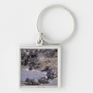 Africa, Kenya, Masai Mara National Park. Key Ring