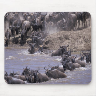 Africa, Kenya, Masai Mara National Park. Mouse Pad