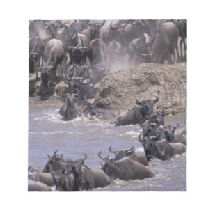 Africa, Kenya, Masai Mara National Park. Notepad