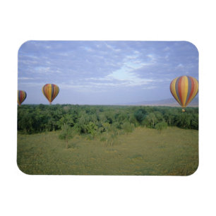 Africa, Kenya, Masai Mara National Preserve, 2 Magnet