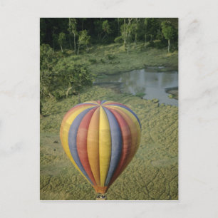 Africa, Kenya, Masai Mara National Preserve, 3 Postcard