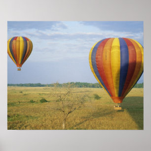 Africa, Kenya, Masai Mara National Preserve, Poster