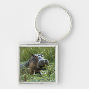Africa, Kenya, Masai Mara NR. A mother hippo Key Ring