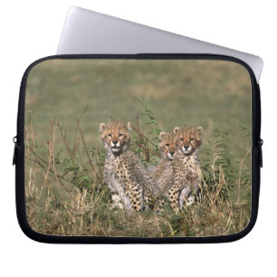 Africa; Kenya; Masai Mara; Three cheetah cubs Laptop Sleeve