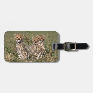 Africa; Kenya; Masai Mara; Three cheetah cubs Luggage Tag