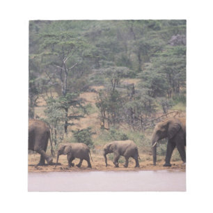 Africa, Kenya, Nanyuki, Mpala. African Notepad