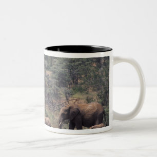 Africa, Kenya, Nanyuki, Mpala. African Two-Tone Coffee Mug