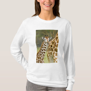 Africa. Kenya. Rothschild's Giraffe baby T-Shirt