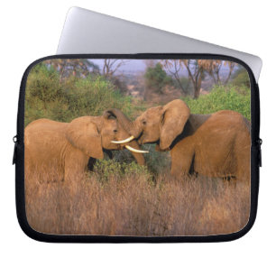 Africa, Kenya, Samburu. Elephant challenge Laptop Sleeve