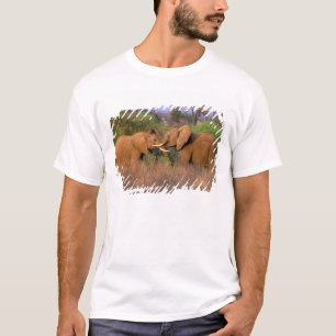 Africa, Kenya, Samburu. Elephant challenge T-Shirt