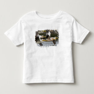 Africa. Kenya. White Pelicans in flight at Lake Toddler T-Shirt