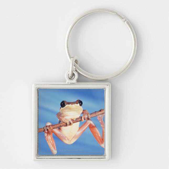 Africa Key Ring (Front)