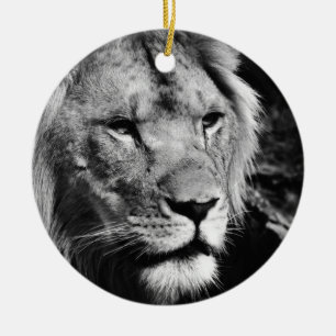 africa lion male closeup macro ceramic tree decoration