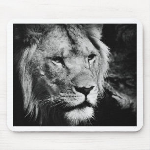 africa lion male closeup macro mouse pad