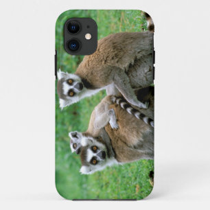 Africa, Madagascar, Antananarivo, Tsimbazaza iPhone 11 Case