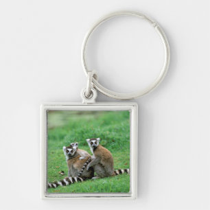 Africa, Madagascar, Antananarivo, Tsimbazaza Key Ring