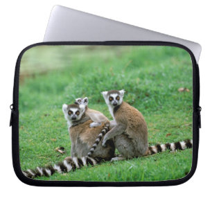 Africa, Madagascar, Antananarivo, Tsimbazaza Laptop Sleeve