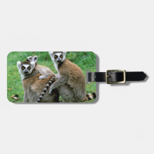Africa, Madagascar, Antananarivo, Tsimbazaza Luggage Tag