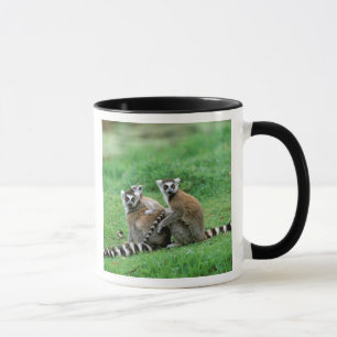 Africa, Madagascar, Antananarivo, Tsimbazaza Mug