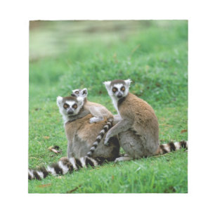 Africa, Madagascar, Antananarivo, Tsimbazaza Notepad