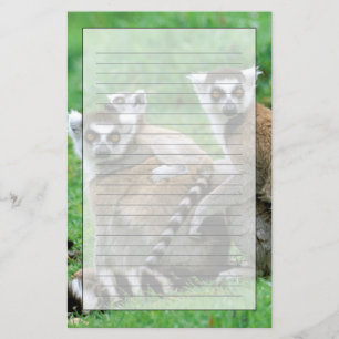 Africa, Madagascar, Antananarivo, Tsimbazaza Stationery