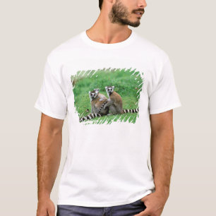 Africa, Madagascar, Antananarivo, Tsimbazaza T-Shirt