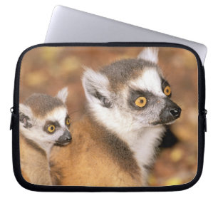 Africa, Madagascar, Berenty Private Reserve. Laptop Sleeve