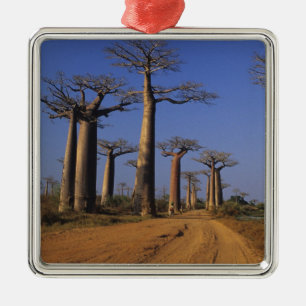 Africa, Madagascar, Morondava, Baobab Avenue. Metal Tree Decoration