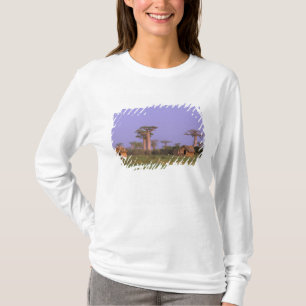 Africa, Madagascar, Morondava. Baobabs T-Shirt