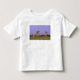 Africa, Madagascar, Morondava. Baobabs Toddler T-Shirt