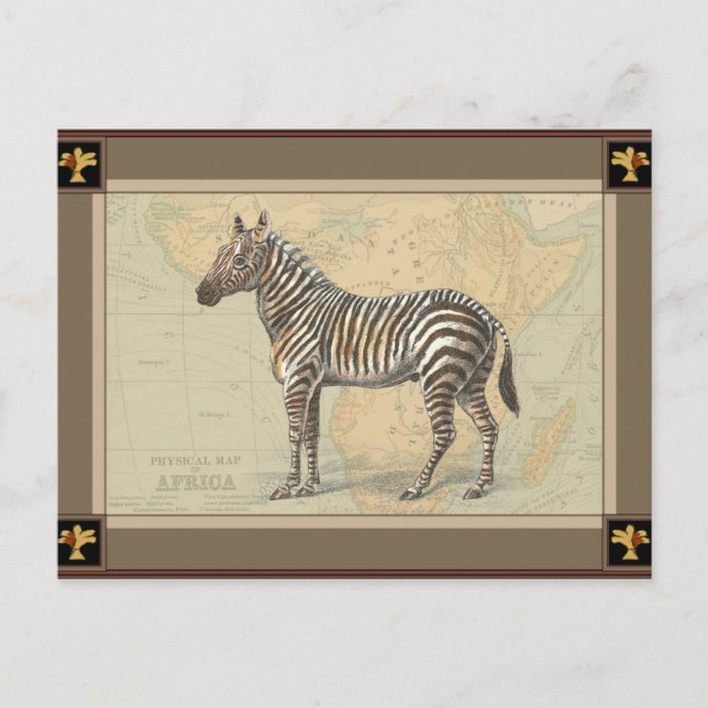 Africa Map and a Zebra Postcard (Front)