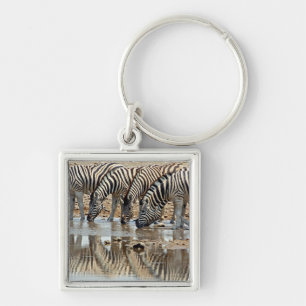 Africa, Namibia, Etosha NP. Burchell's Zebra Key Ring