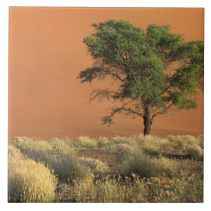 Africa, Namibia, Namib National Park, Sossusvlei Ceramic Tile
