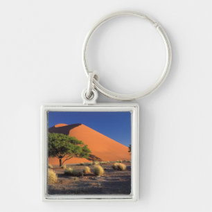 Africa, Namibia, Namib-Naukluff Park, Sossosvlei Key Ring