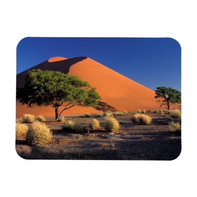 Africa, Namibia, Namib-Naukluff Park, Sossosvlei Magnet (Horizontal)