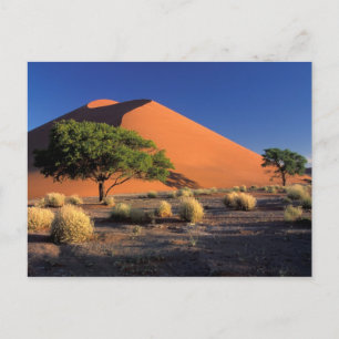 Africa, Namibia, Namib-Naukluff Park, Sossosvlei Postcard