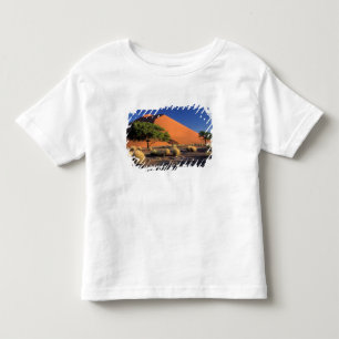 Africa, Namibia, Namib-Naukluff Park, Sossosvlei Toddler T-Shirt