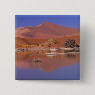 Africa, Namibia. Namib-Naukluft Park. 2 15 Cm Square Badge