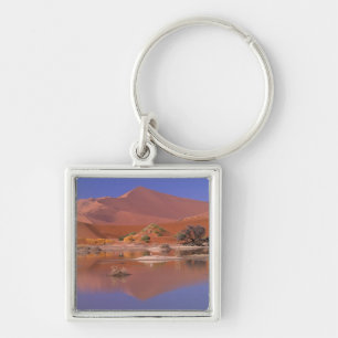 Africa, Namibia. Namib-Naukluft Park. 2 Key Ring