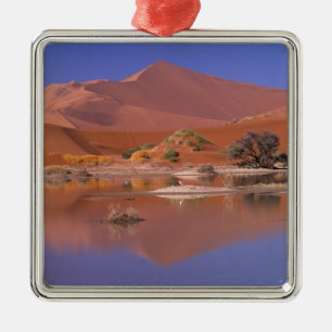 Africa, Namibia. Namib-Naukluft Park. 2 Metal Ornament