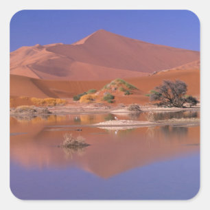 Africa, Namibia. Namib-Naukluft Park. 2 Square Sticker