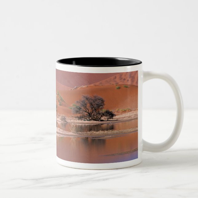 Africa, Namibia. Namib-Naukluft Park. 2 Two-Tone Coffee Mug (Right)
